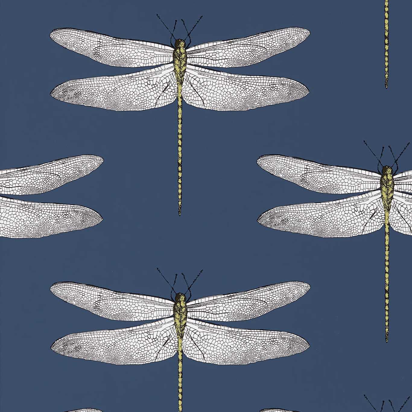 Demoiselle 111243